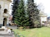 IMG_20170414_095559.jpg