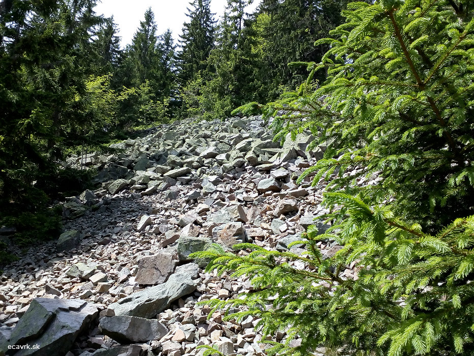obr