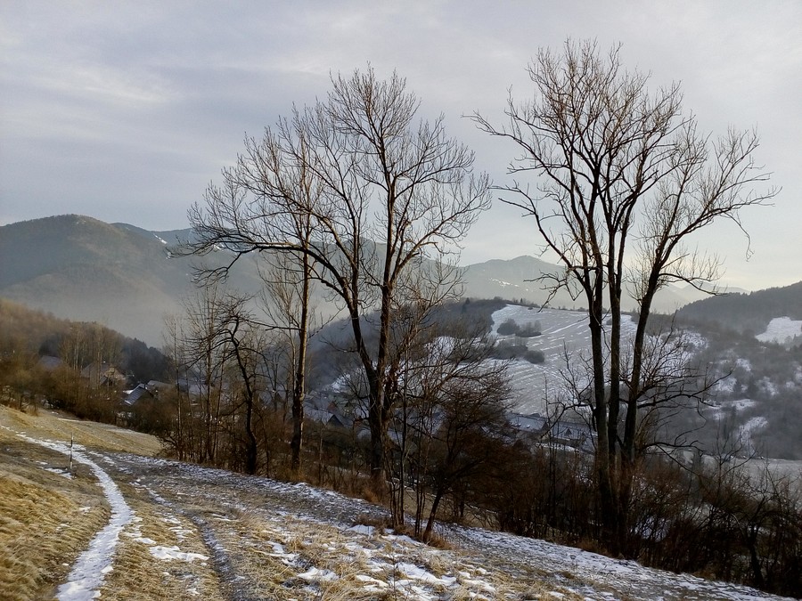 07.jpg