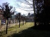 095113.jpg