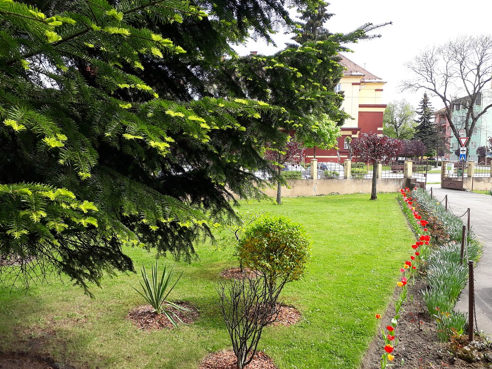 06.jpg
