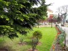 06.jpg