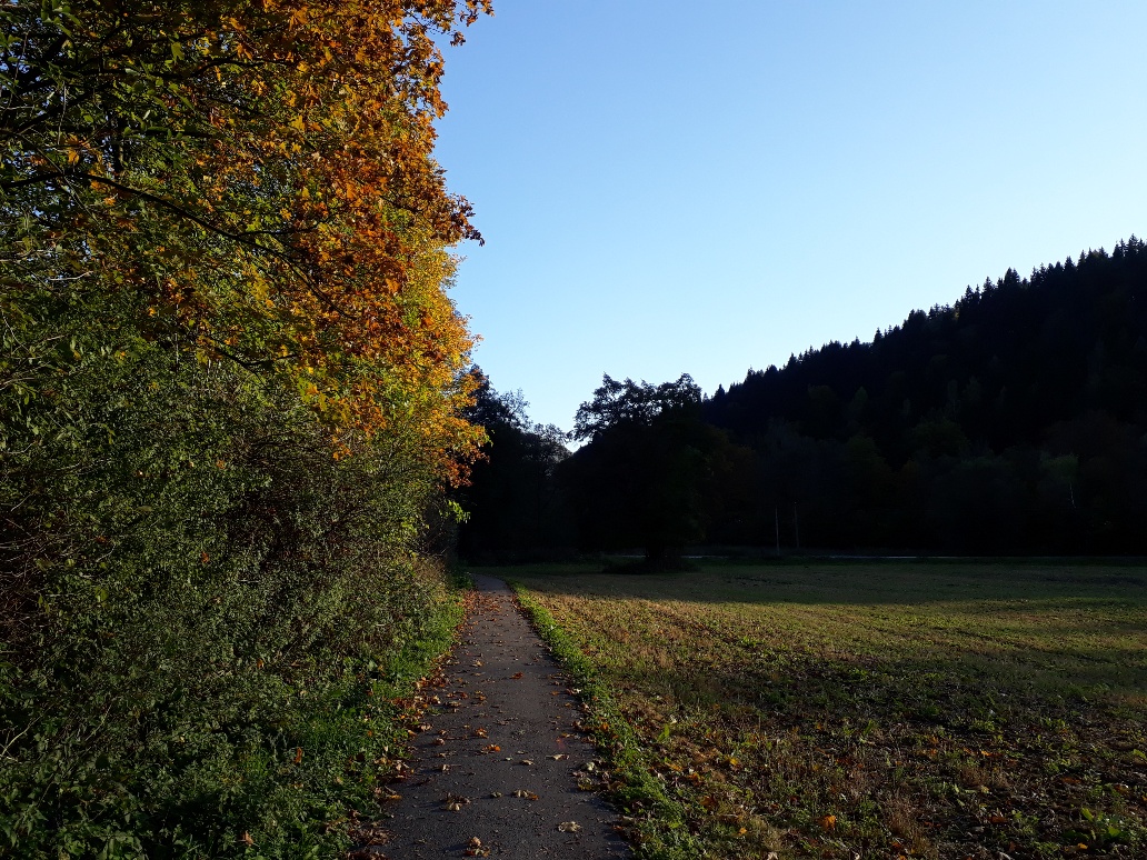 07.jpg
