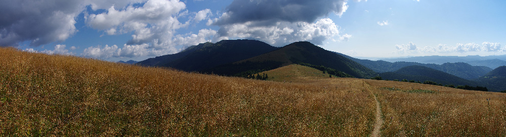 obr